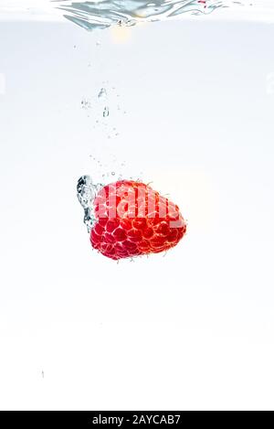 Raspberry splashing into crystal clear water with air bubbles sinking underwater Stock Photo
