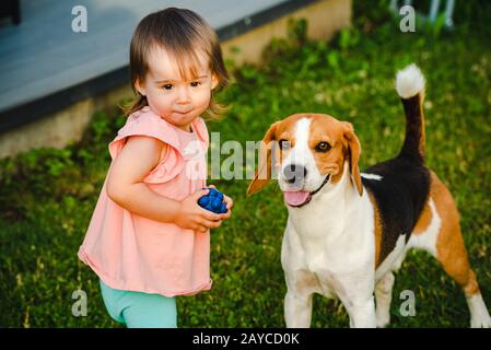 Cute baby girl together with beagle dog in garden in summer day. Stock Photo