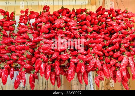 Many red peppers hanging at ropes on market Stock Photo