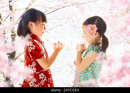 Two adorable girl wearing cheongsam during chinese new year season . Stock Photo