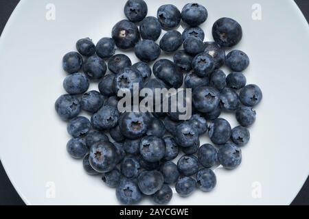 Blueberries on a white disc with black background Stock Photo