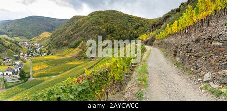 Hiking on the red wine trail in the Ahr valley in the rain Stock Photo