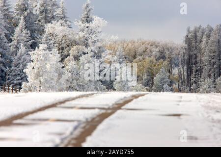 Cypress Hills First Snowfall Stock Photo