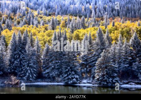 Cypress Hills First Snowfall Stock Photo