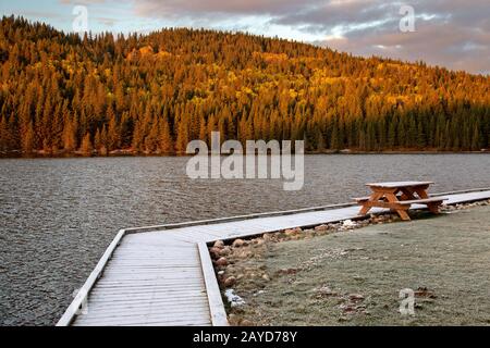 Cypress Hills First Snowfall Stock Photo