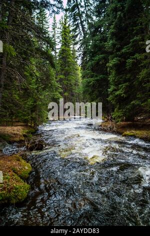 A narrow stream of water in Buffalo, Wyoming Stock Photo