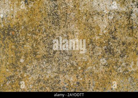 Old weathered mossy sandstone surface with lichens closeup as stone background Stock Photo