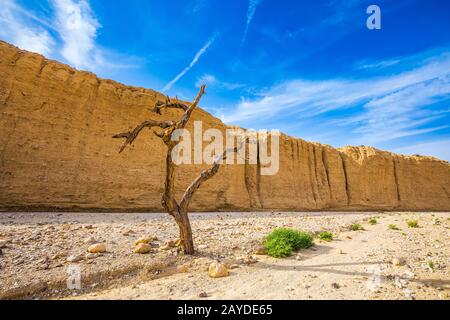 Stone desert near Eilat Stock Photo