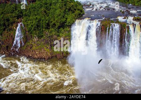 In the water dust Andes condors fly Stock Photo