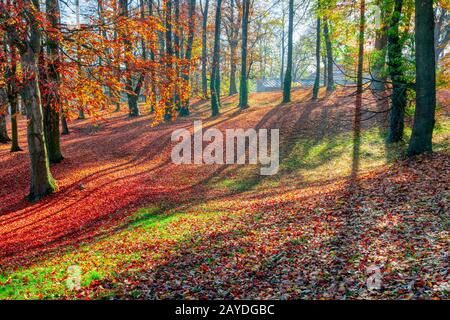 Autumn in park, fall concept Stock Photo