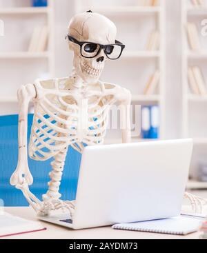 Skeleton businessman working in the office Stock Photo