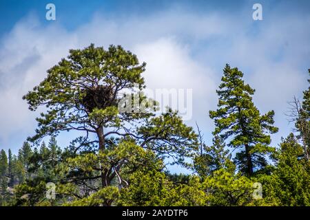 An overlooking landscape of Gates of the Mountain in Helena National Forest, Montana Stock Photo