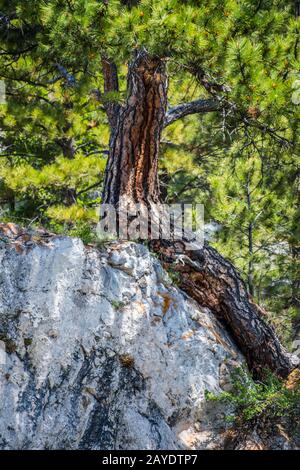 An overlooking landscape of Gates of the Mountain in Helena National Forest, Montana Stock Photo