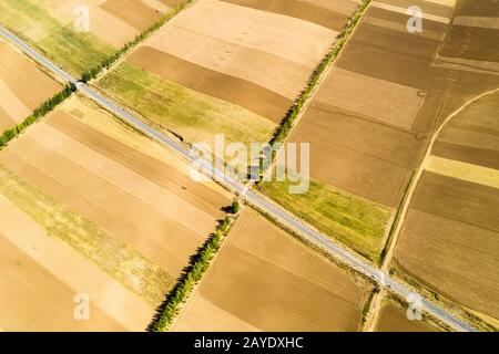 farmland in autumn sowing Stock Photo