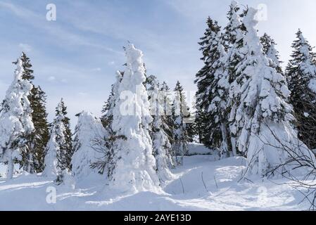 Deepest winter in the Hochficht ski area - sunny winter day Stock Photo