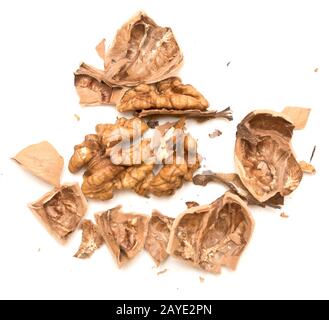 Walnut on white Stock Photo
