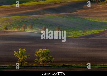 Autumn sunrise in the fields Stock Photo