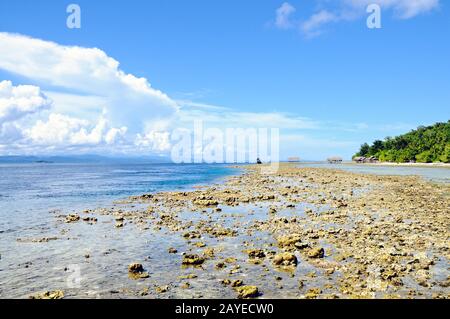 Reef at low tide on the island of Kri Raja Ampat Indonesia Stock Photo