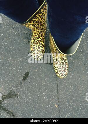 Young woman with blue jeans is standing in the street on grey asphalt in cold wet winter day, wearing yellow gum boots with wild cat print. High angle Stock Photo