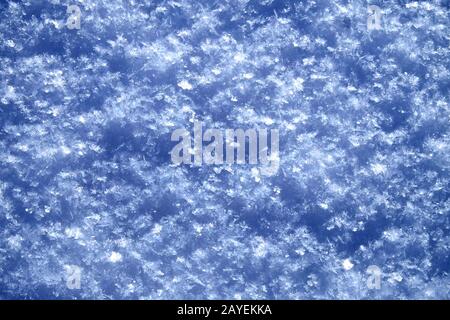 Untouched snow surface Stock Photo