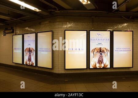 Hi tech electronic advertisements for the Westminster Kennel Club Dog Show. At the Union Square 14th Street subway station in Manhattan, NYC Stock Photo