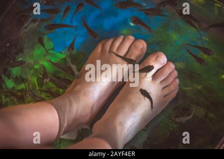 Fish feet pedicure in China Stock Photo