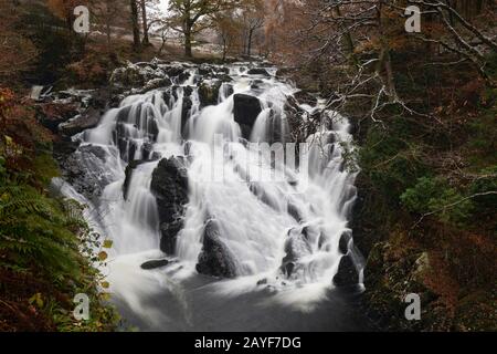 Swallow Falls on the Afon Llugwy in the Snowdonia National Park. Stock Photo