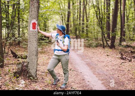 Hiking marked trail in the forest. Marking the tourist route painted on the tree. Touristic route sign. Travel route sign. Touri Stock Photo