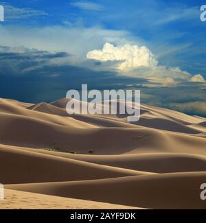 Sand dunes in desert at sunset Stock Photo