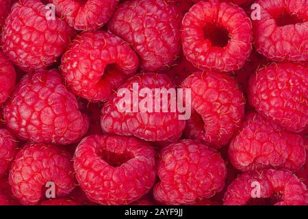 Raspberry background Stock Photo