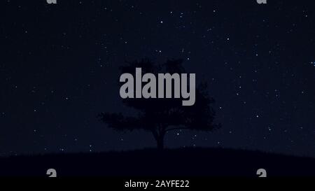 Lonely Tree under Amazing Clean Night Sky with Stars 3D Illustration Stock Photo