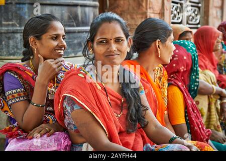 Saree Store, Jodhpur, India | Limited Edition