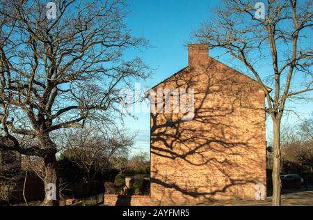 Shadow of tree branches on the side of a brick house. Warm summer colours and mood, long afternoon shadows. Stock Photo