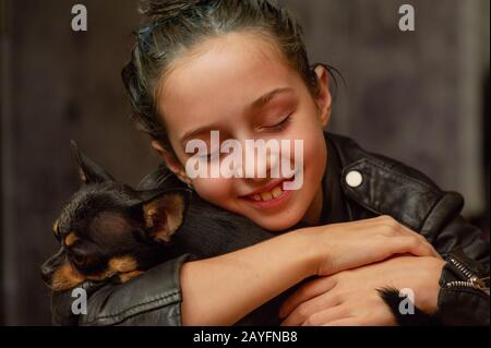 Chihuahua black, brown and white. Pet.dog poses, a series of photos with a chihuahua. Mini breed Chihuahua Smooth Shorthair. Mini breed chihuahua. Gir Stock Photo