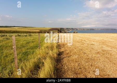 View over Carvannel Downs and coast from the South West Coast Path - near Portreath, north Cornwall, UK. Stock Photo