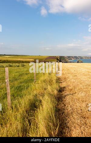 View over Carvannel Downs and coast from the South West Coast Path - near Portreath, north Cornwall, UK. Stock Photo