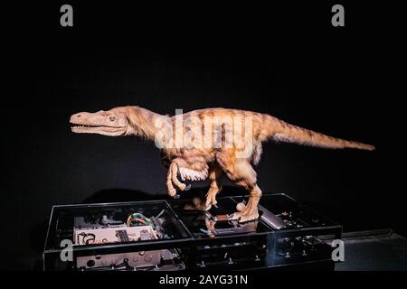 28 JULY 2018, BARCELONA, SPAIN: Moving Dinosaur in museum Stock Photo
