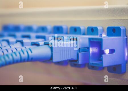 Optical wires are connected to the Optical Fiber Distribution Frame. The light signal shines brightly from the port of the switching equipment. Concep Stock Photo