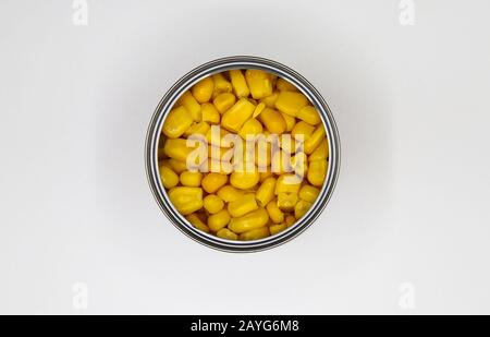 Top view close up on isolated open metal can with yellow sweet corn, blank white background Stock Photo