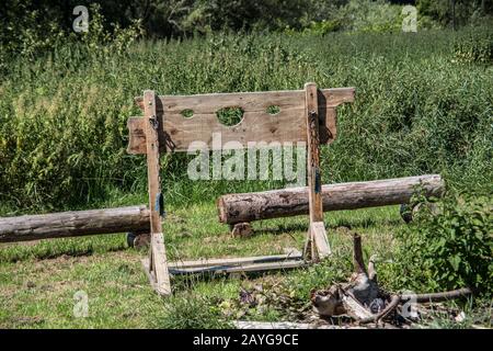 antique pillory on village meadow Stock Photo