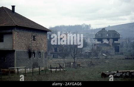 8th January 1994 Ethnic cleansing during the war in central Bosnia: a dog is the only sign of life among burned houses and buildings in Grbavica, on the outskirts of Vitez, attacked by HVO (Bosnian Croat) forces four months before. Stock Photo