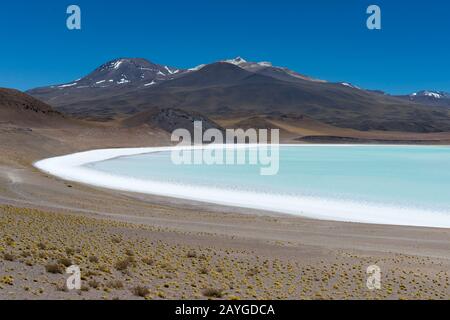 View of Laguna Tuyajto with Miniques volcano in background in the Los Flamencos National Reserve near San Pedro de Atacama in the Atacama Desert, nort Stock Photo