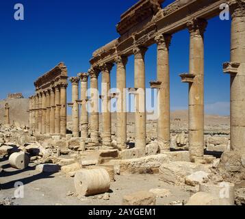 Archaeological site of Palmyra (Tadmor Stock Photo - Alamy