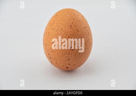 A single chicken egg on a white background Stock Photo