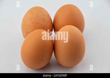 Four chicken eggs on a white background Stock Photo