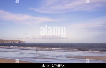 Whitby beach.  Waves roll onto a wet beach as a couple walk their dog.  A headland is in the distance and a sky with clouds is above. Stock Photo