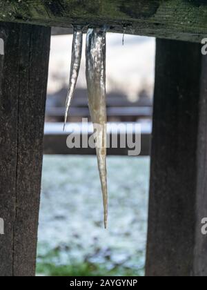 picture with icicle, icicle formed under a wooden table Stock Photo