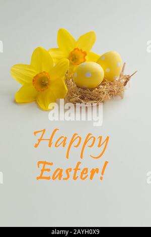 Colorful polka dot Easter eggs with fresh daffodils flowers background, copy space, spring greeting postcard concept Stock Photo