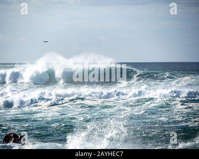 Big waves on the north shore of Oahu with aquamarine seas, white foam and blue skies. Drone flying overhead attempts to capture surfers. Stock Photo