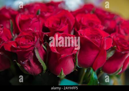 Rose blurred background. Roses flower texture. Red rose. Bouquet of red roses. copyspace . The letter A is written with white flowers . Beautiful rose Stock Photo